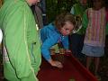 070612 skoalreiske beukers 060
